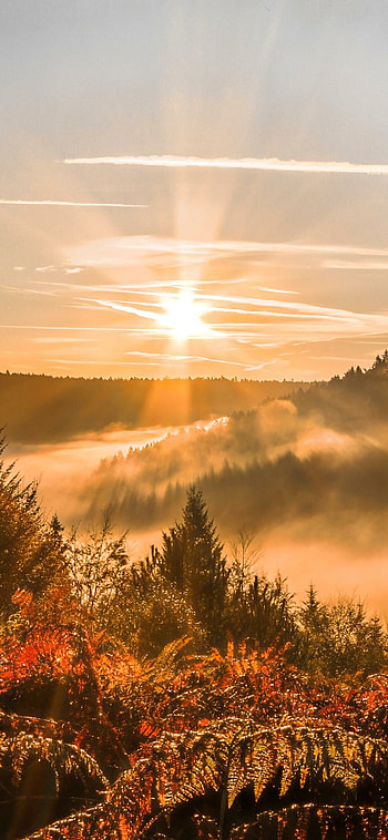 Nature, Sunrise HD phone wallpaper