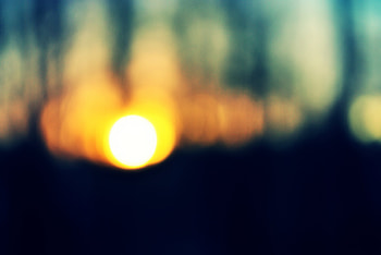 Abstract, Trees, Sunset, Sun, Forest HD wallpaper