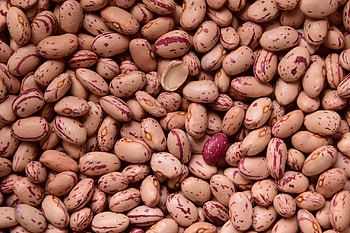 Bean , Legumes galore, Nutrient powerhouse, Nature's protein source HD wallpaper