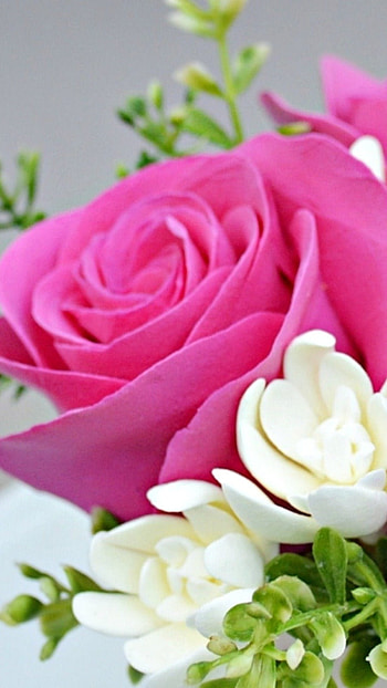 Beautiful Flowers Roses, Good Morning, Flowers HD phone wallpaper