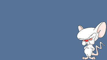 Cartoon - Pinky And The Brain HD wallpaper