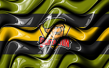 North Bay Battalion flag, , green and black 3D waves, OHL, canadian hockey team, North Bay Battalion logo, hockey, North Bay Battalion, Canada HD wallpaper