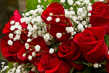 Red roses, bouquet, love, beautiful, passion HD wallpaper