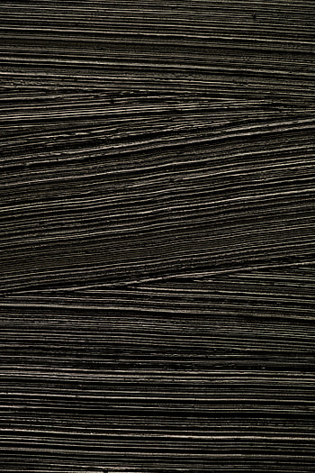 Wood, Tree, Texture, Textures, Surface, Fiber HD phone wallpaper