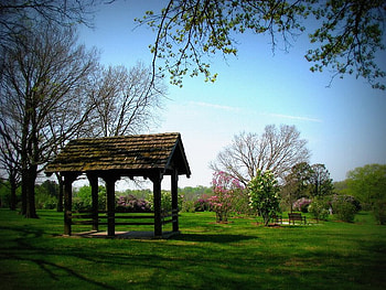 Peaceful Park, shadow, field, trees, sky, nature, flowers, grass HD wallpaper