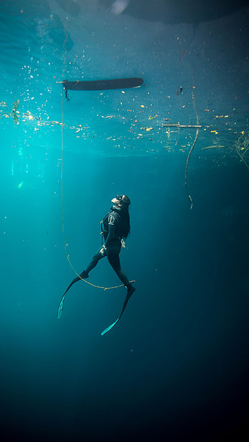 Duck diving, Diving HD phone wallpaper
