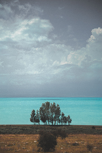 Nature, Trees, Sea, Clouds, Horizon, Armenia HD phone wallpaper