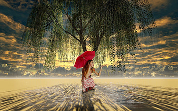 Rainy Day HD wallpaper