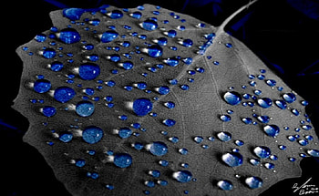 Blue Rain Drops, blue, abstract HD wallpaper