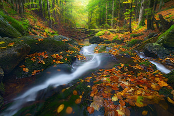 greenery, trees, river, nature HD wallpaper