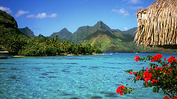 Bora Bora beauty, Tropical paradise, Exotic , Stunning views HD wallpaper