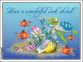 WONDERFUL WEEK, COMMENT, WEEK, CARD, WONDERFUL HD wallpaper