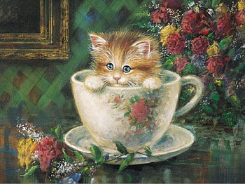 afternoon tea, puppies, cats, cat, tea HD wallpaper