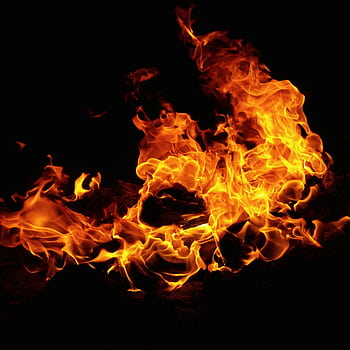 Bright flames dancing against a dark night backdrop, creating warmth and glow. HD phone wallpaper