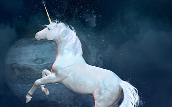 Israeli tech unicorns, Start-up success, Innovation hub, Rapid growth HD wallpaper