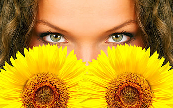 sunny glance, eyes, girl, sunflowers HD wallpaper