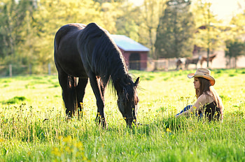 Sunny Afternoon Together, barn, horse, grass, Cowgirl, horses, field, fence, trees, hat HD wallpaper