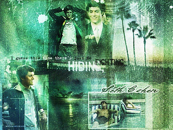 Seth Cohen, adam brody, the oc HD wallpaper