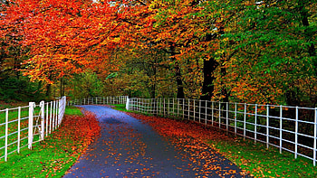 for most beautiful nature for mobile HD wallpaper