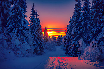 Winter sunset, snow, trees, cold, sky, forest, fiery, sunset, mountain, beautiful HD wallpaper