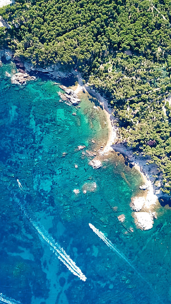 Nature, Trees, View From Above, Coast, Ocean HD phone wallpaper