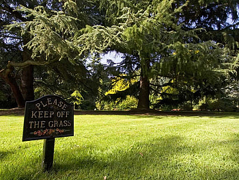 Keep Off The Grass, summer, grass, united kingdom, park HD wallpaper