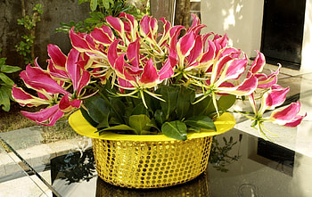 Flowers, Table, Tinsel, Sequins, Hat, Gloriosa, Glorioza HD wallpaper