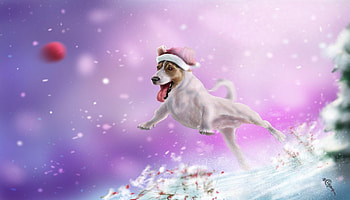 A happy dog, dog, winter, animal, white, running, craciun, pink, irbisty, ball, iarna, christmas, caine HD wallpaper