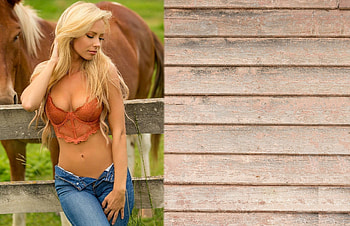 Workday, cowgirls, ranch, horses, barn, blondes HD wallpaper
