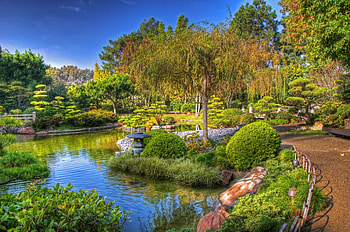 Nature, Trees, Garden, Brightly, Track, China, Shades HD wallpaper