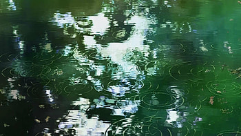 The Garden of Words, Water ripples, Shinkai film, Serene environment HD wallpaper
