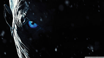 Standard ... HD wallpaper