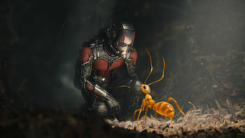 Ant-Man , Background HD wallpaper