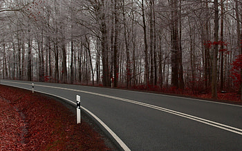 Nature, Road, Turn, Markup, Asphalt, Lines, Paint, Double Solid HD wallpaper
