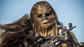 Chewie, Chewbacca , Top HD wallpaper