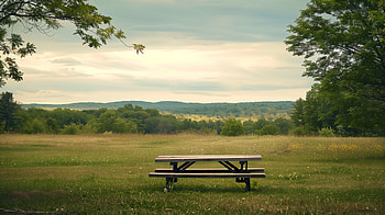 Sure, here's a SEO friendly short name for the : Serene Picnic Table Scenery, picnic table HD wallpaper