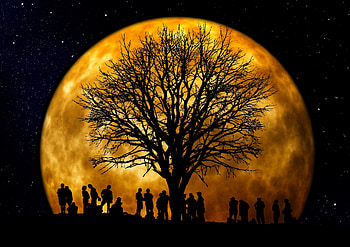 People, Night, Moon, Vector, Wood, Tree, Silhouettes HD wallpaper