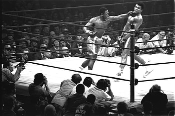 Sports, People, Men, Boxing HD wallpaper