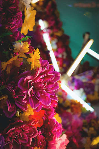 Flowers, Shine, Light, Bouquet, Neon HD phone wallpaper