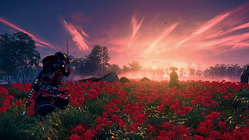 A Tsushima duel, samurai, Japan, red, sunset, video game, Ghost of Tsushima HD wallpaper