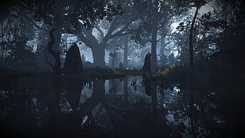 The Witcher 3 : Mystical Forest Shadows, video game, The Witcher 3: Wild Hunt HD wallpaper