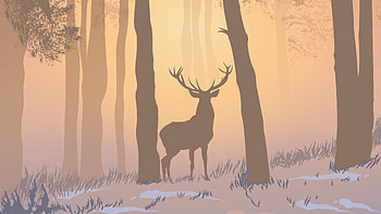 Reinnder Forest Foggy Morning , deer, reindeer, forest, minimalism, minimalist, artist, artwork, digital-art HD wallpaper