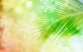 Rest tree, fantasy, colors, dream, greem, tree HD wallpaper