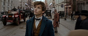 Fantastic Beasts, Film Review, New Name HD wallpaper