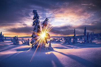 Outdoor winter scene, winter, morning, color, peaceful, beautiful, tree, snow, , sun, lovely HD wallpaper