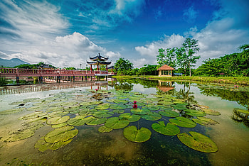 Tasik Melati Recreational Park, Malaysia HD wallpaper
