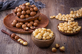 Macadamias, Nut, , Background HD wallpaper