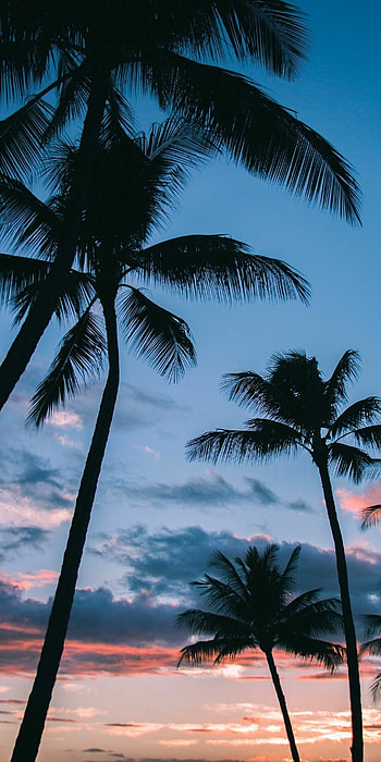 Stunning nature landscapes, Abstract nature graphy, Scenic views, Mesmerizing backgrounds HD phone wallpaper