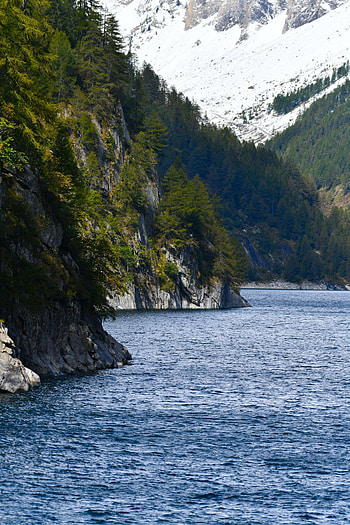 Nature, Sea, Rocks, Coast, Spruce, Fir, Slope HD phone wallpaper