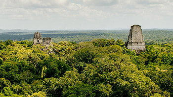 Tikal National Park, Rainforest paradise, Mayan city ruins, Windows 10 spotlight HD wallpaper